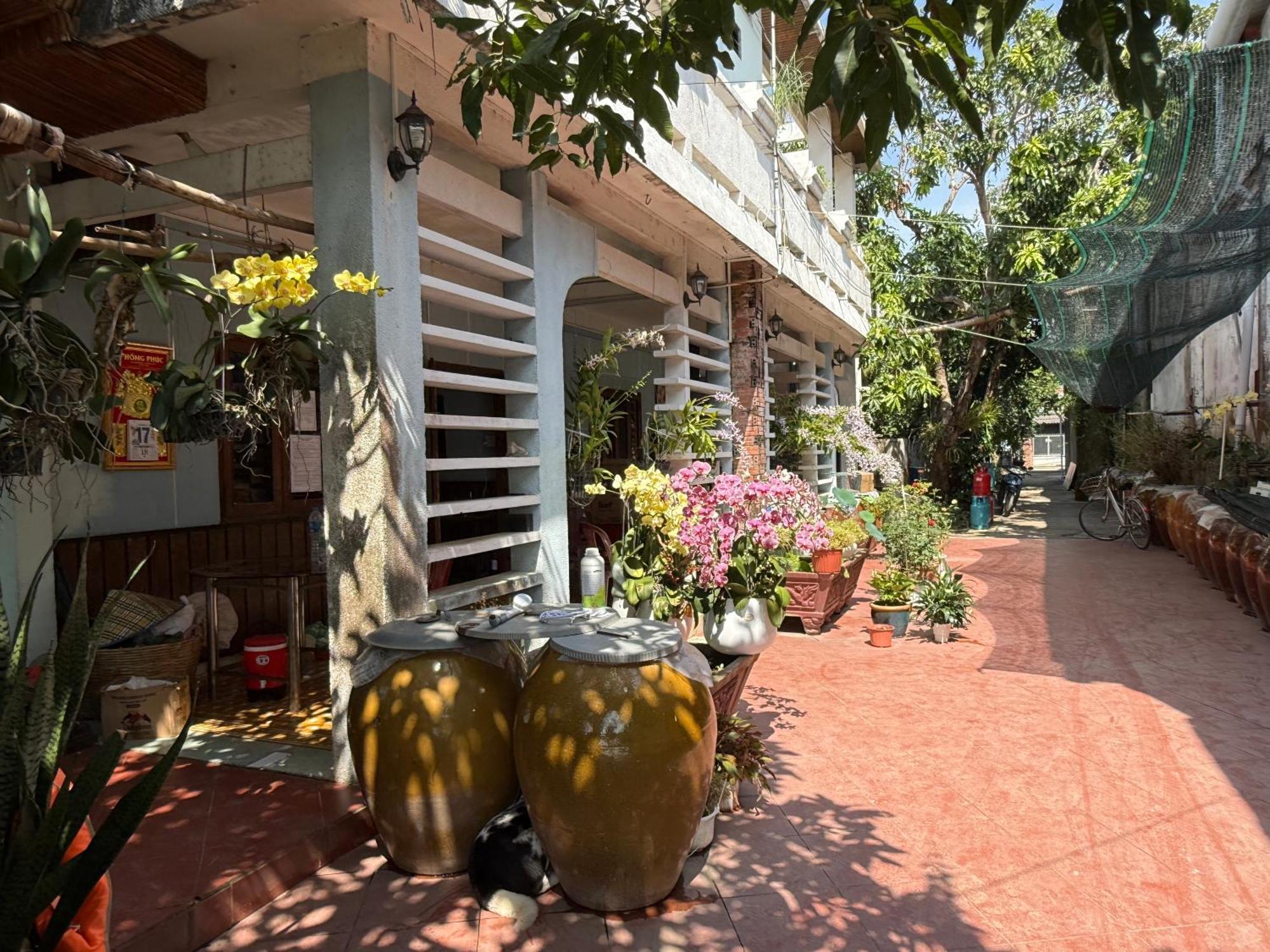 Island Homestay Tien Giang Mỹ Tho Eksteriør billede